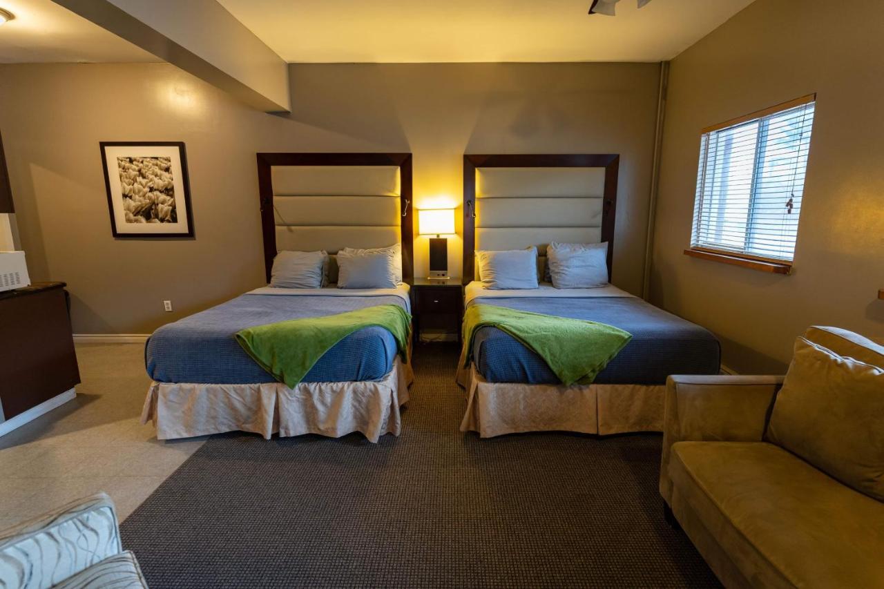 Stoco Lake Lodge Tweed Dış mekan fotoğraf